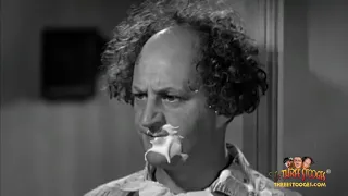 The Three Stooges  Cactus Makes Perfect