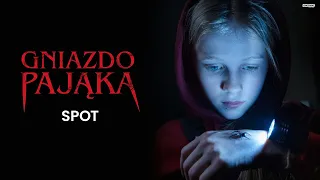 GNIAZDO PAJĄKA | Nowe oblicze horroru | Kino Świat