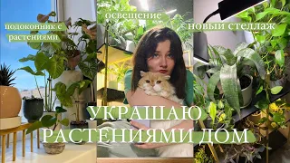 Размещаю растения в интерьере || новый стеллаж, освещение, полки для растений | обзор стеллажа