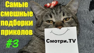 The best jokes videos #4/Смотреть Лучшие приколы #4