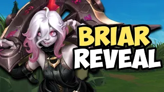 Briar HONEST Champion Spotlight