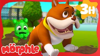 Orphle Is Having A Ruff Day! 🐶 | Stories for Kids | Morphle Kids Cartoons