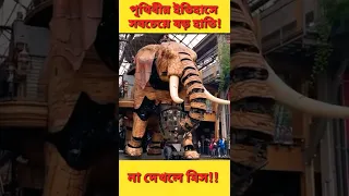 biggest elephant in the world😮🔥🔥 #elephant #biggest #robot #artificialintelligence #shorts