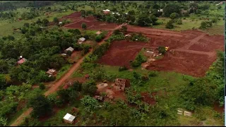 LEERO KU LUGONVU'S SHOW - MANYA SENTE Z'OLINA ZIGULA WA ETTAKA