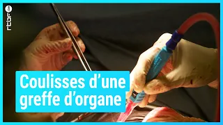 Greffe d'organe : coulisses d'une greffe de coeur - Matière Grise