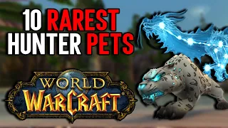 Top 10 Rarest Hunter Pets in World of Warcraft - Can You Tame Them All?