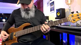 Swamp Song Bass Cover | Tool | Wal MK III