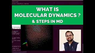 What is Molecular Dynamic Simulations?
