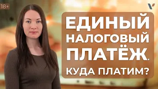 Единый налоговый платеж. Разбираемся как и куда платить