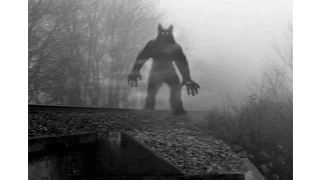 5 TRUE SCARY Dogman Encounter Horror Stories By Witnesses: Michigan Dogman