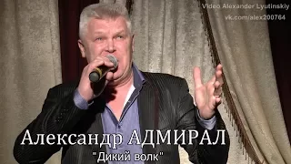 Александр АДМИРАЛ - "Дикий волк"