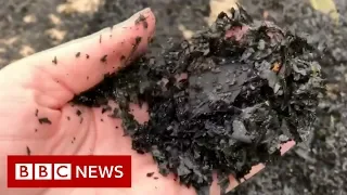 Bushfire ash washes up on Australian beach - BBC News