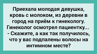 Девушка из Деревни Приехала к Гинекологу! Сборник Свежих Смешных Жизненных Анекдотов!