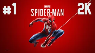 Marvel's Spider-Man Remastered ⦁ Прохождение #1 ⦁ Без комментариев ⦁ 2K60FPS