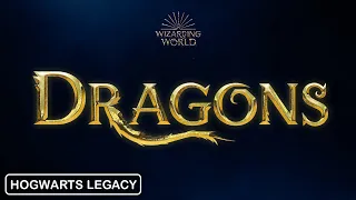 Hogwarts Legacy - Dragons | Explained