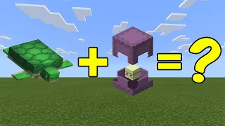 I Combined a Turtle and a Shulker in Minecraft - Here's WHAT Happened...