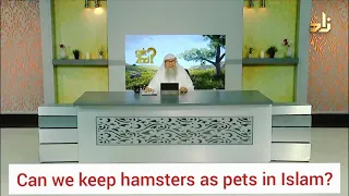 Can we keep hamster as a pet in Islam? - Assim al hakeem