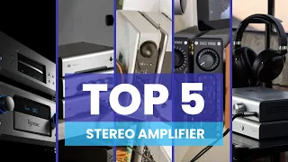 Don't Buy a Stereo Amplifier in 2024 Before Watching This!🔊 - Best Stereo Amplifiers 2024