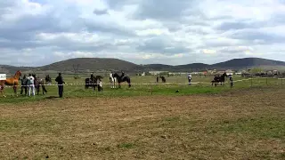 конни състезания в село Априлово 18.04.2015г.