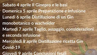 La ricetta di un Gin, le caratteristiche fondamentali e il senso che deve avere London Dry 4/6