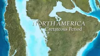 Cretaceous Seas Exhibit at Mount Royal University