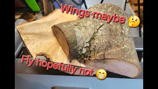 Natural live edge winged Bowl #woodturning #woodlathe #latheprojects #liveedgebowl