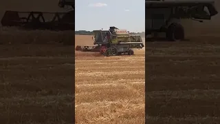 Жътва с Claas Dominator 106