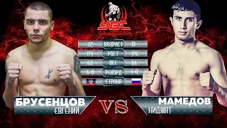 Профессиональные бои по УБС 20.05.2017 г. в Таганроге. Брусенцов Евгений vs Мамедов Ниджат.