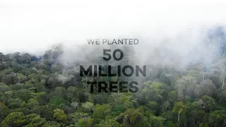 How 50 million trees have changed the world