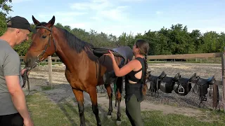 Как купить седло для лошади