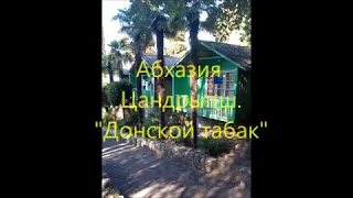 Пансионат  "Донской табак". Пи3дeц!