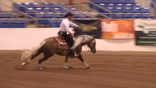 2016 Cactus Reining Classic Lucas Oil Open Derby