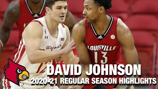 David Johnson 2020-21 Regular Season Highlights | Louisville Forward