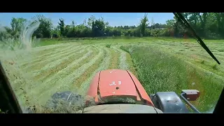 Zetor Forterra 9641 Mowing with a Fransgard TR165