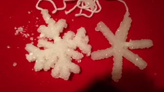How to Make a Borax Snowflake