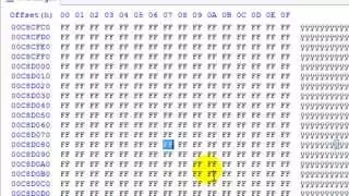 [Tutorial] Hexadecimal básico