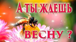 ❤️ОЧЕНЬ КРАСИВЫЙ СТИХ! Прекрасного дня!  "Не беда..." Христианский стих.