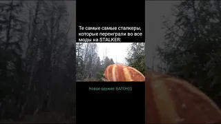 Новое оружие в STALKER2(прикол)#stalkershorts#shorts#сталкер#сталкер2#stalker#stalker2#short