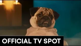 SHOW DOGS | "BARKING MAD" TV SPOT