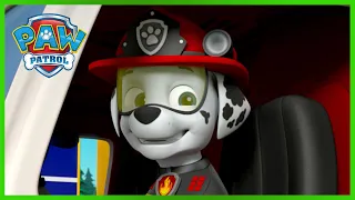 Más de 1 hora de episodios de rescates de Marshall - Compilación de PAW Patrol Episodio Español