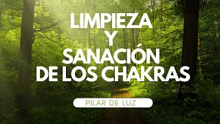 Meditación para Desbloquear y Activar los Chakras | Restauración Completa | Pilar de Luz