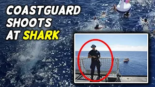 Coastguard shoots at shark to keep it away from swimmers