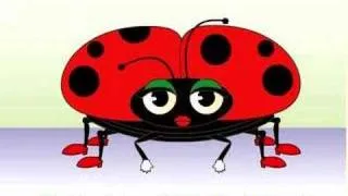 Frank Leto's Ladybug Ladybug Song