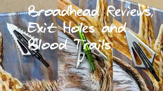 BROADHEAD REVIEWS | Magnus Stinger, Stinger Buzzcuts and Rage SS | Farming For Whitetails
