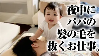 パパの髪の毛を楽しそうに抜く赤ちゃん。