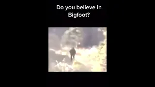 Do you believe in Bigfoot??