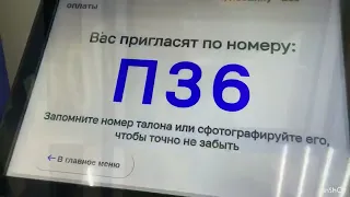 Получил посылку от @Wylsacom. iPhone 13.