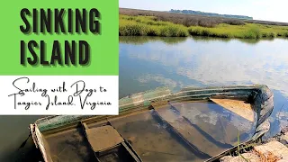 Sinking Island in the Chesapeake ||  Sailing with Labmaraner Dogs to Tangier Island, Virginia.