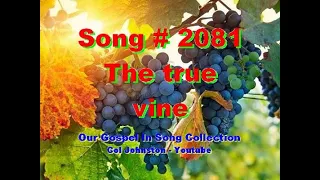 #2081- The True Vine -  (John 15:1-7)