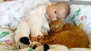 Niedlichen Katzen Kuscheln Und Spielen Mit Babys - Cat